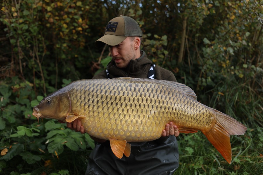 Kev Frambach - Turtles Corner - 35lb - 11/10/2025