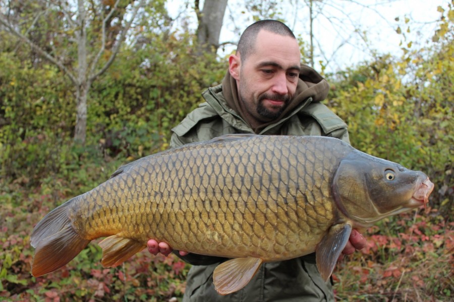 Another hard fighting common