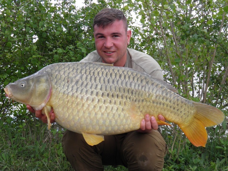 33lb May 2015