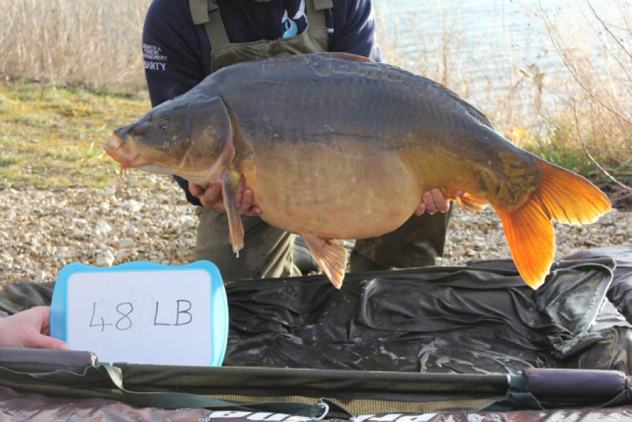 Fish 2 - Stocked at 48lb