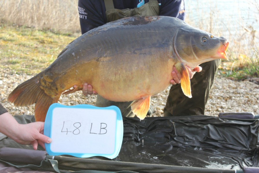 Fish 2 - Stocked at 48lb