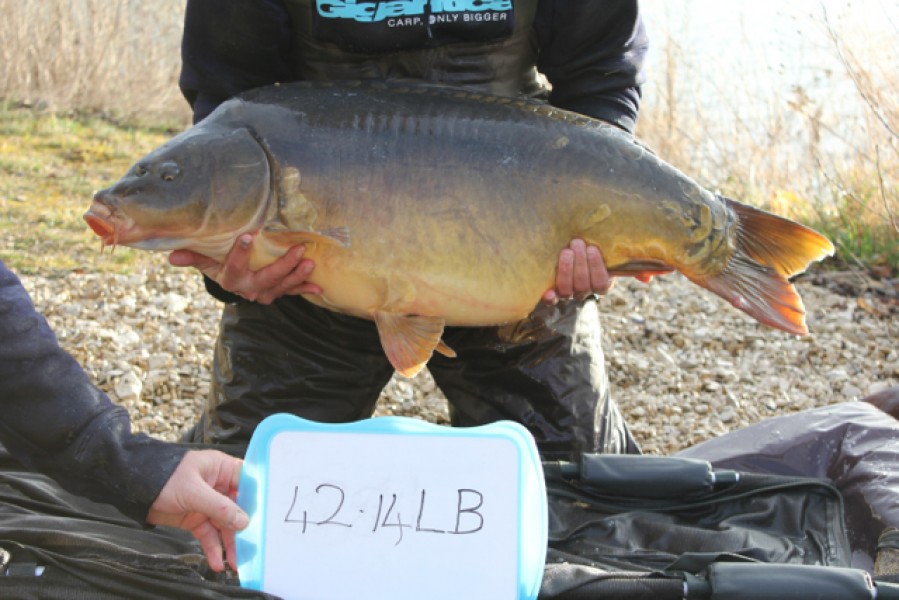 Fish 3 - Stocked at 41.14lb