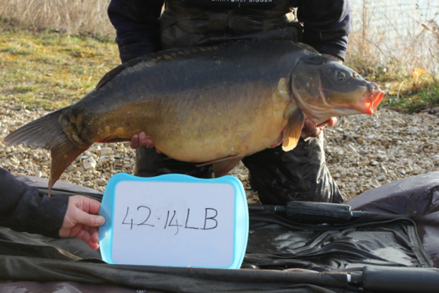 Fish 3 - Stocked at 41.14lb