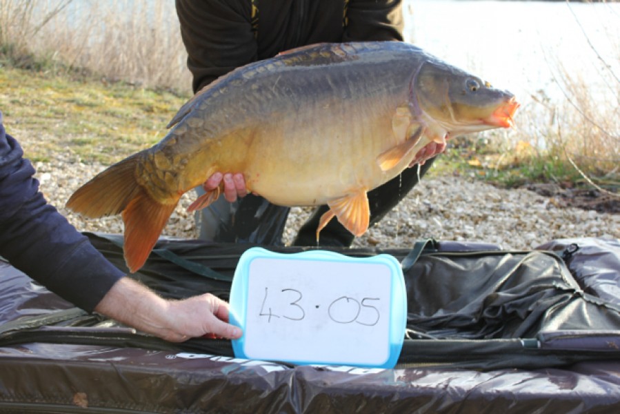 Fish 4 - Stocked at 43.05lb