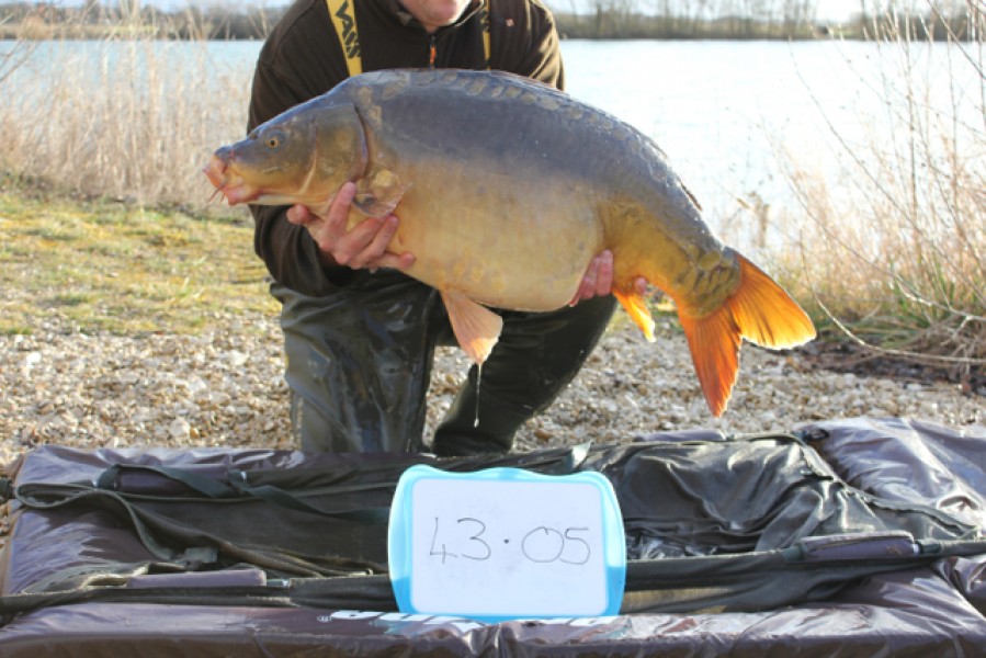 Fish 4 - Stocked at 43.05lb