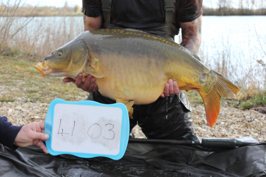 Fish 9 - Stocked at 41.03lb