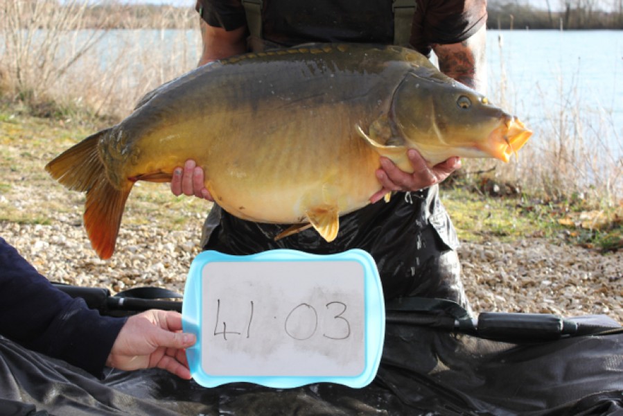 Fish 9 - Stocked at 41.03lb