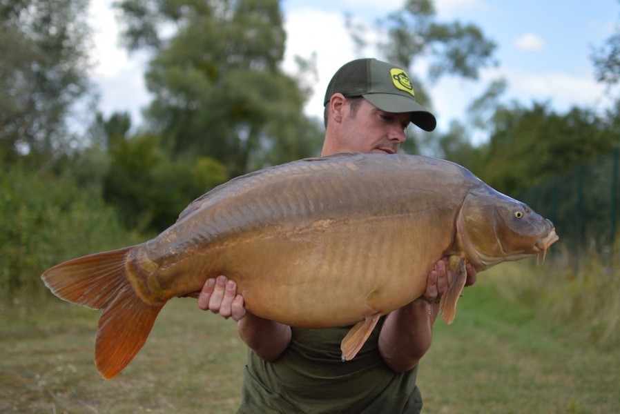 39lb Birches August 2016