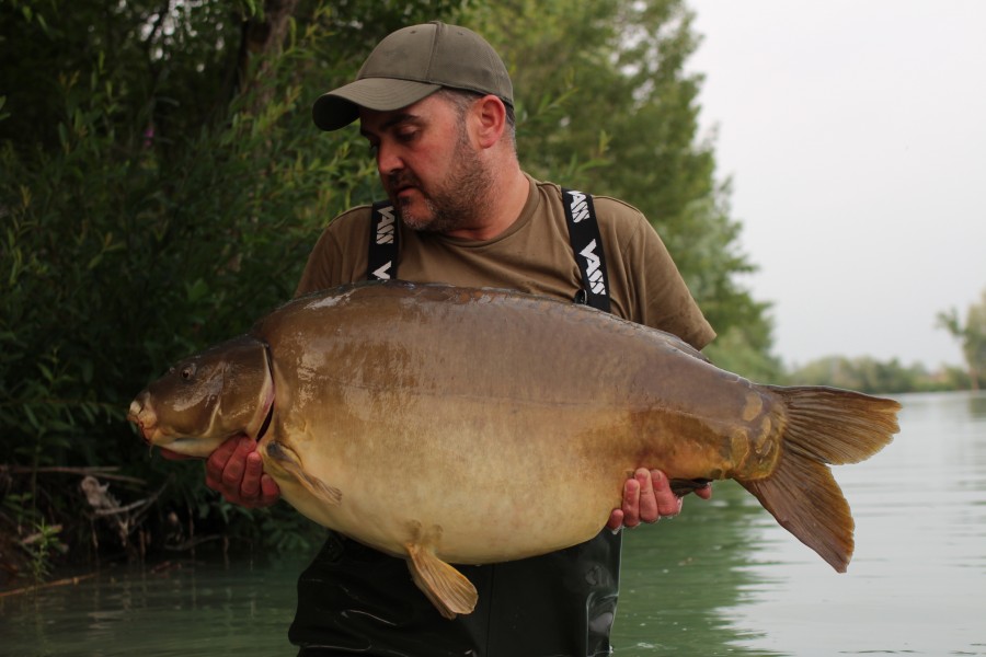 Scott - 51lb 6oz - Decoy - 17/06/2023