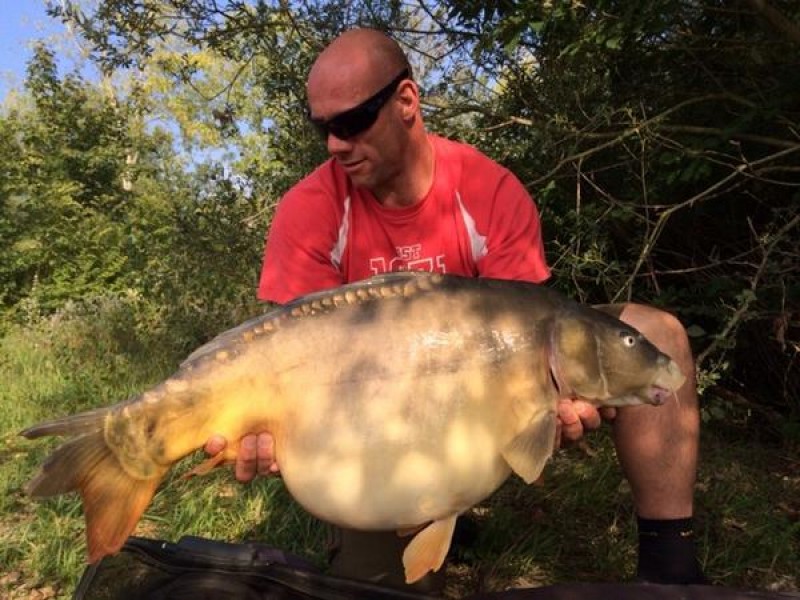 43lb September 2014