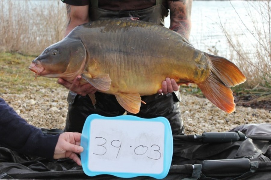 Fish 23 - Stocked at 39lb 3oz