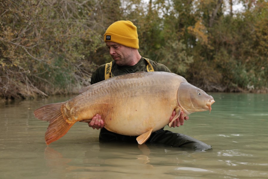 Steve Molses - Bachiliars - 65lb 4oz - 17/10/2026