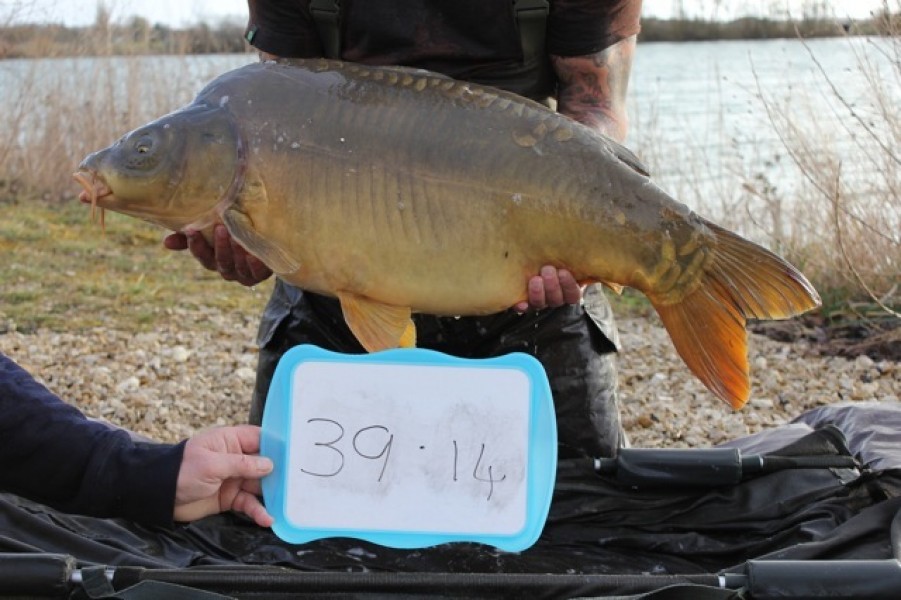 Fish 26 - Stocked at 39lb 14oz