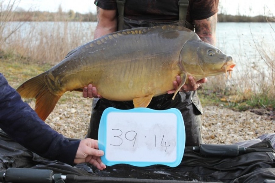 Fish 26 - Stocked at 39lb 14oz