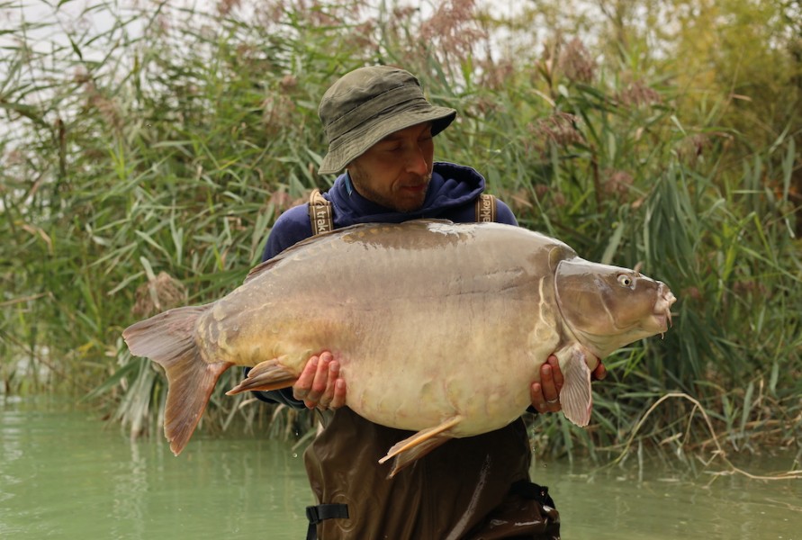 Adam Chapman - 55lb - Bacheliers - 14/09/2024