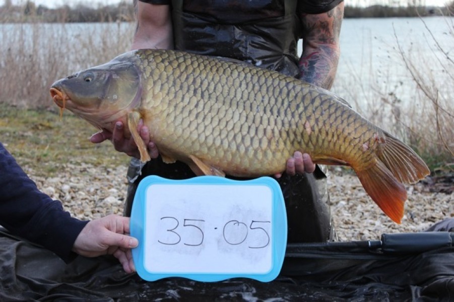 Fish 31 - Stocked at 35lb 5oz