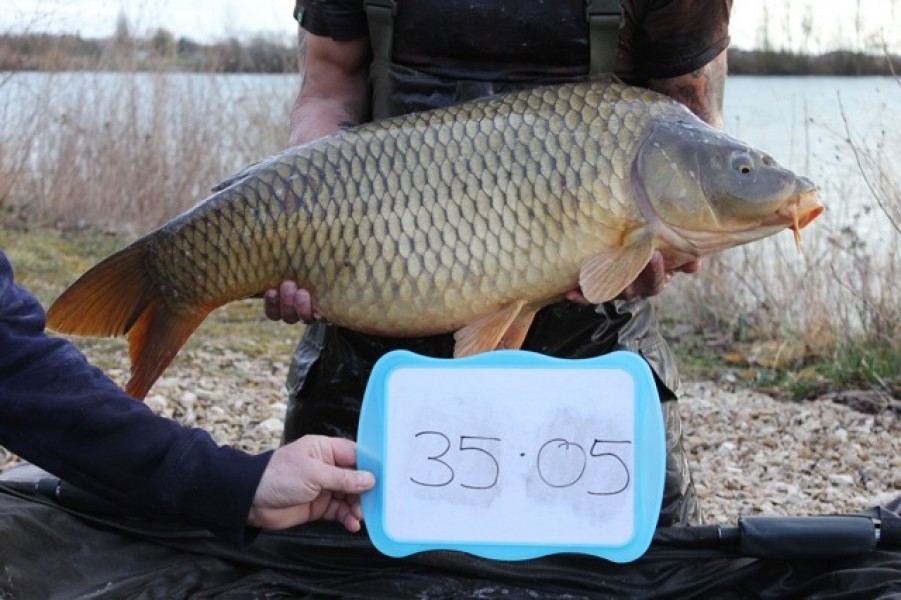 Fish 31 - Stocked at 35lb 5oz