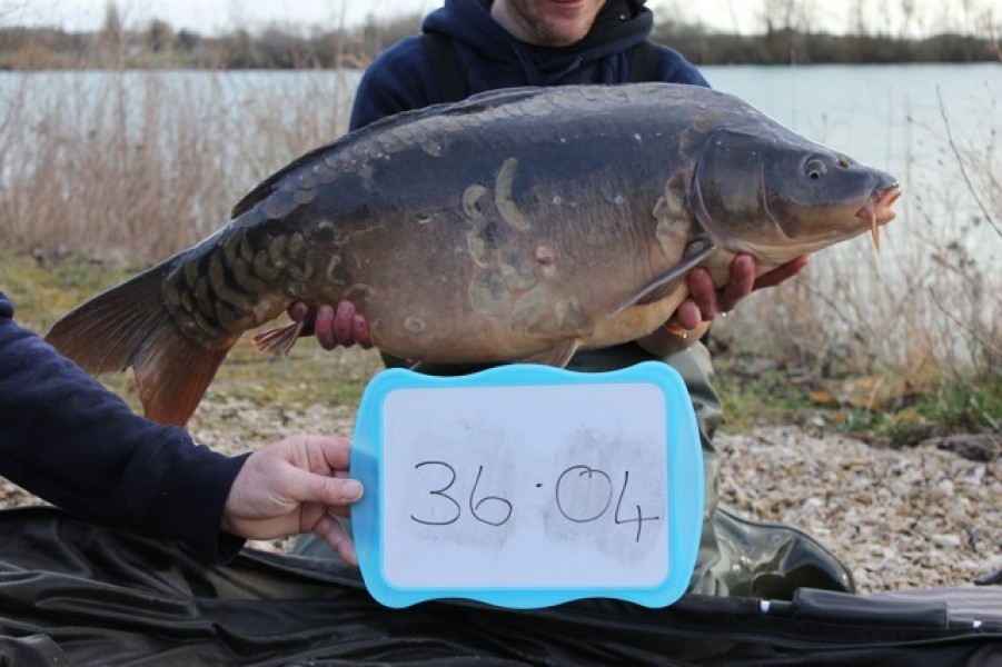 Fish 32 - Stocked at 36lb 4oz