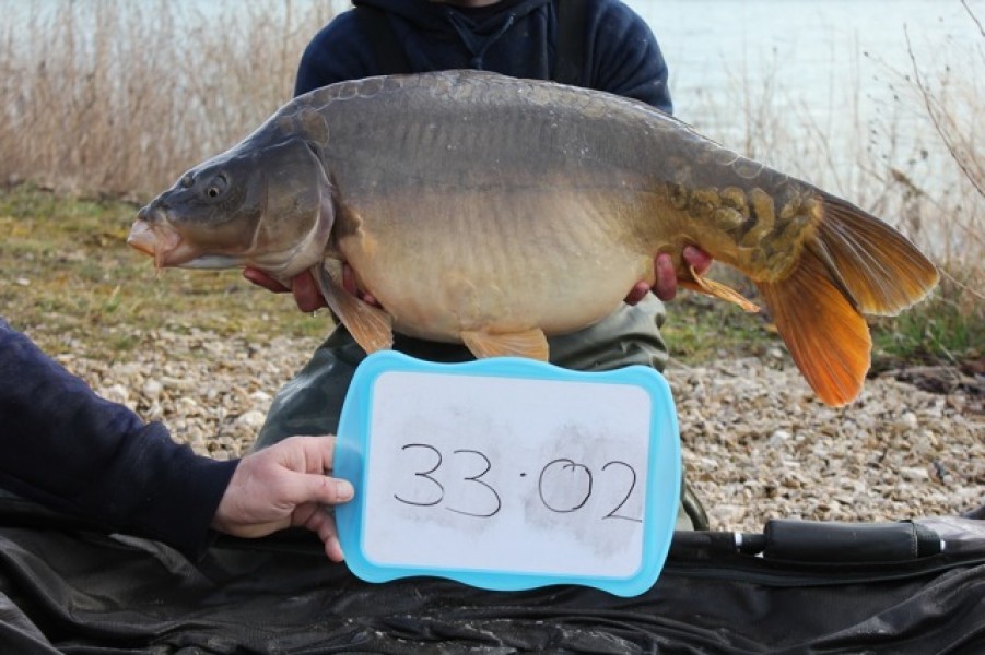 Fish 35 - Stocked at 33lb 2oz