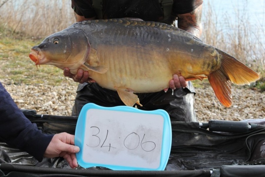 Fish 37 - Stocked at 34lb 6oz