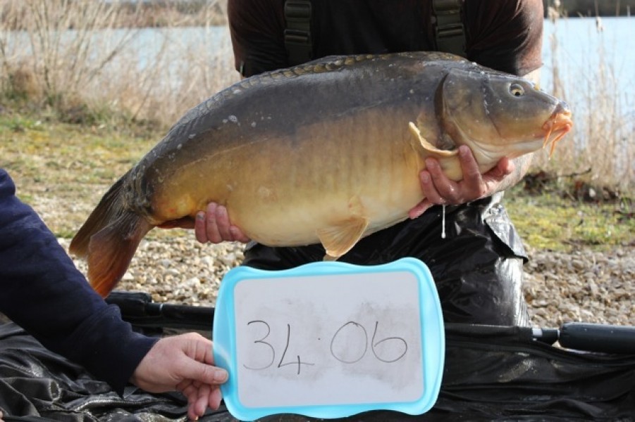 Fish 37 - Stocked at 34lb 6oz