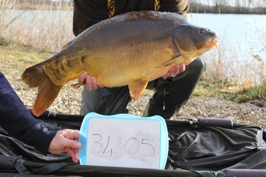 Fish 38 - Stocked at 34lb 5oz
