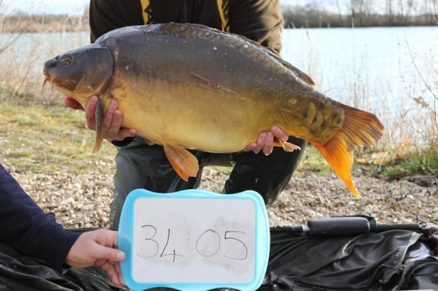 Fish 38 - Stocked at 34lb 5oz