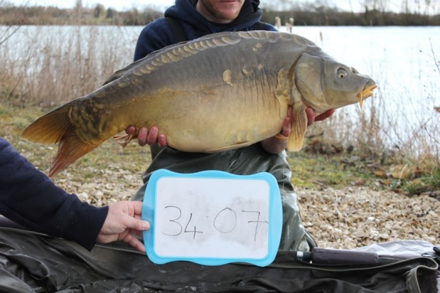 Fish 39 - Stocked at 34lb 7oz