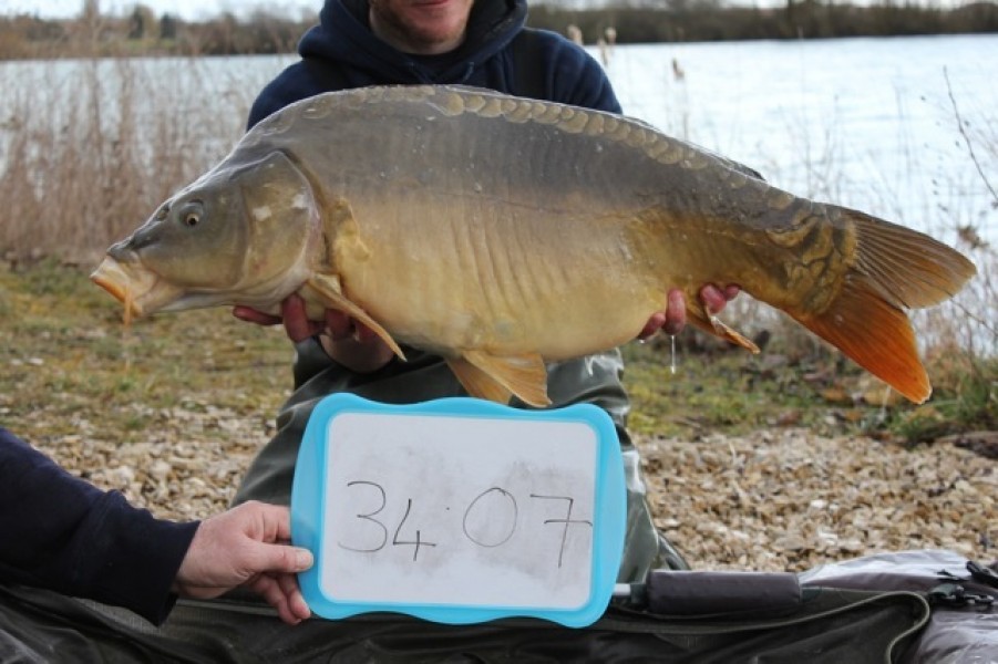 Fish 39 - Stocked at 34lb 7oz