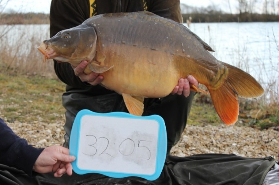 Fish 40 - Stocked at 32lb 5oz