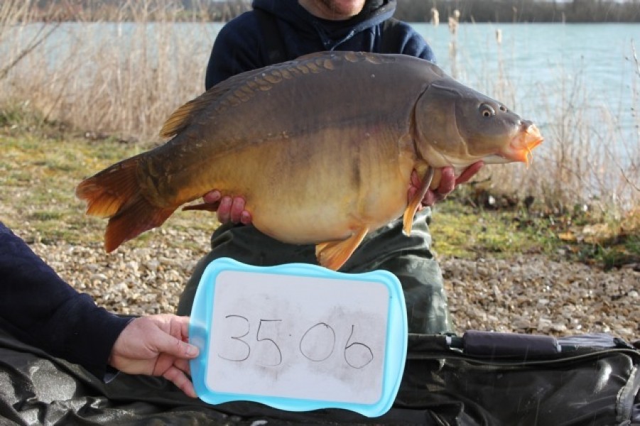 Fish 42 - Stocked at 35lb 6oz