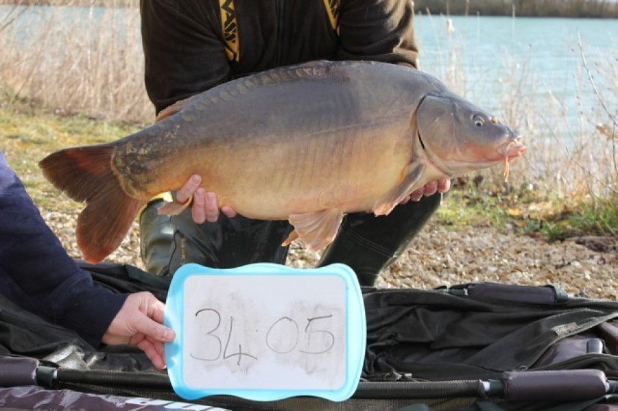 Fish 43 - Stocked at 34lb 5oz