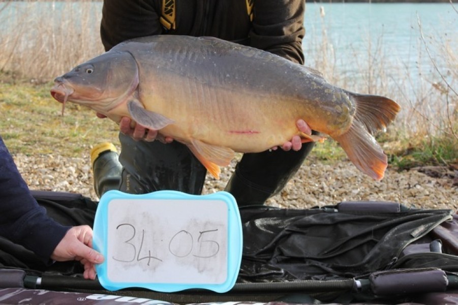 Fish 43 - Stocked at 34lb 5oz