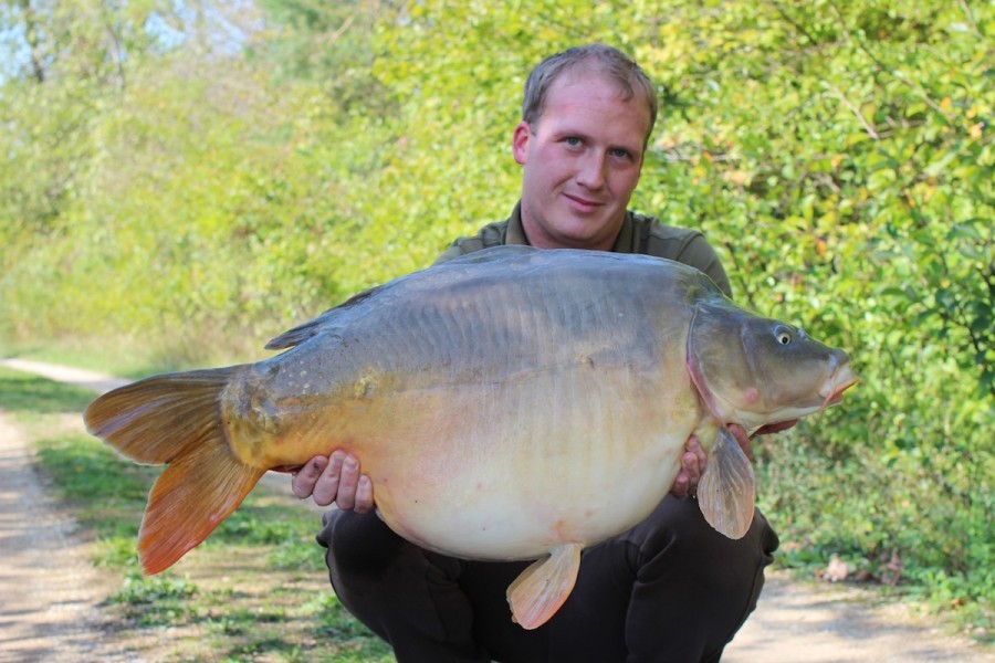 36lb September 2015