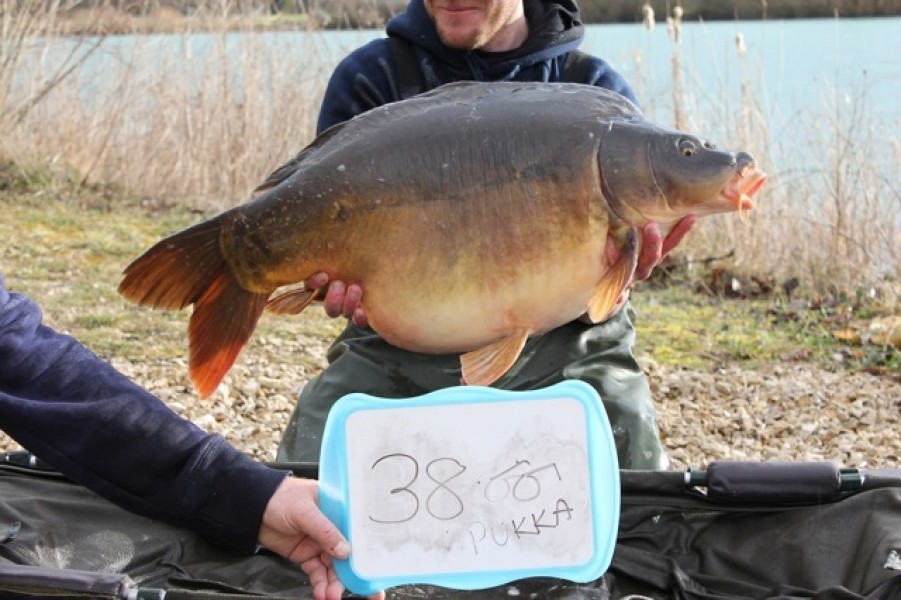 Fish 45 - Stocked at 38lb