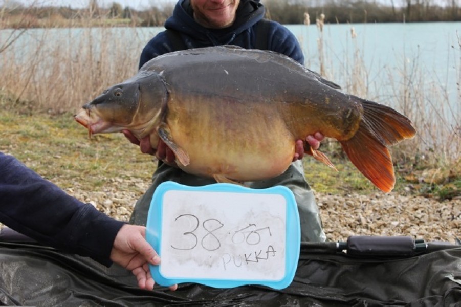 Fish 45 - Stocked at 38lb