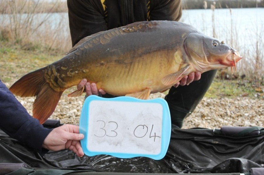 Fish 47 - Stocked at 33lb 4oz