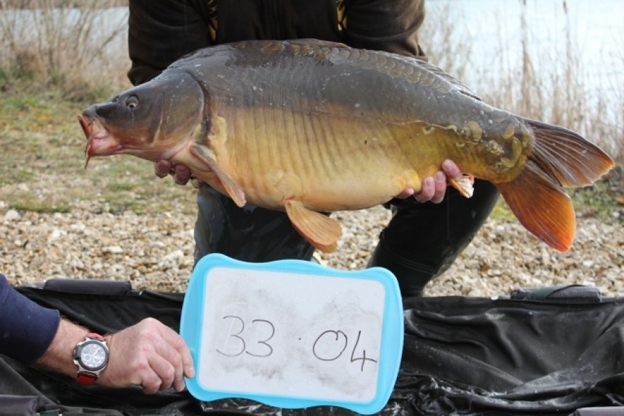 Fish 47 - Stocked at 33lb 4oz