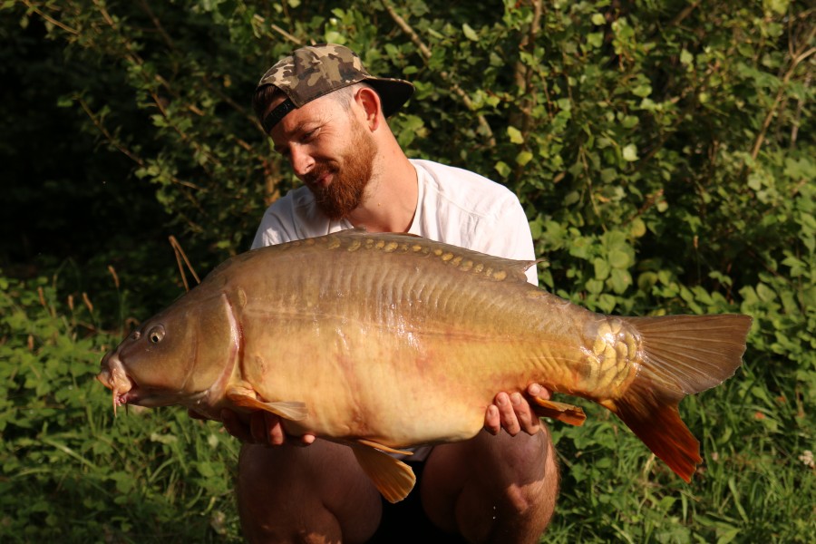 Deacon Ollie - 35lb 8oz - Turtles Corner - 28/08/2021