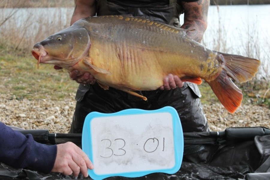 Fish 48 - Stocked at 33lb 1oz