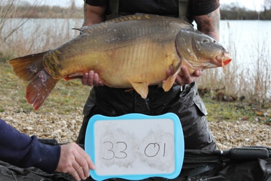 Fish 48 - Stocked at 33lb 1oz