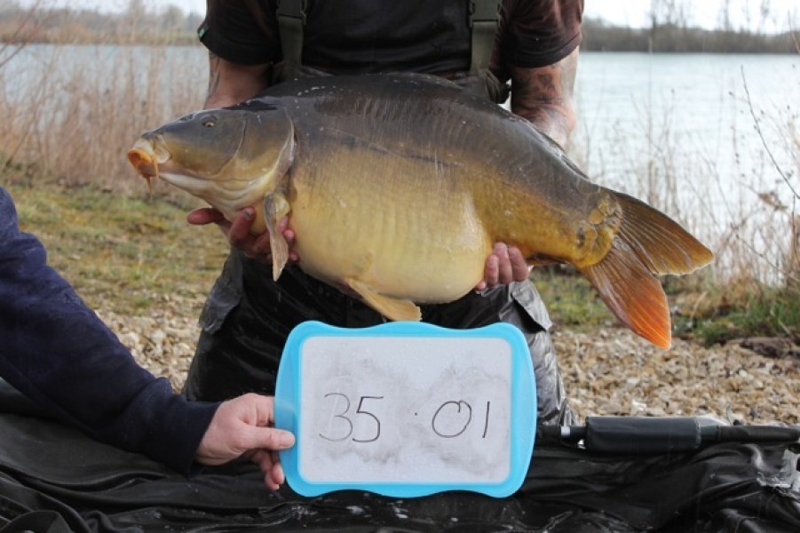 Fish 51 - Stocked at 35lb 1oz