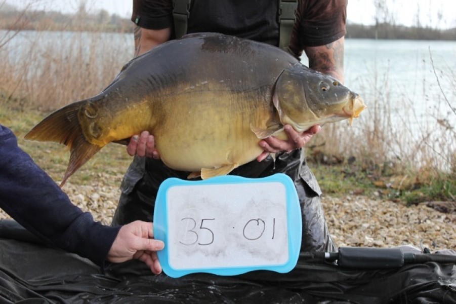 Fish 51 - Stocked at 35lb 1oz