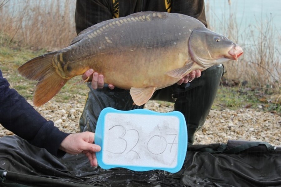 Fish 53 - Stocked at 32lb 7oz