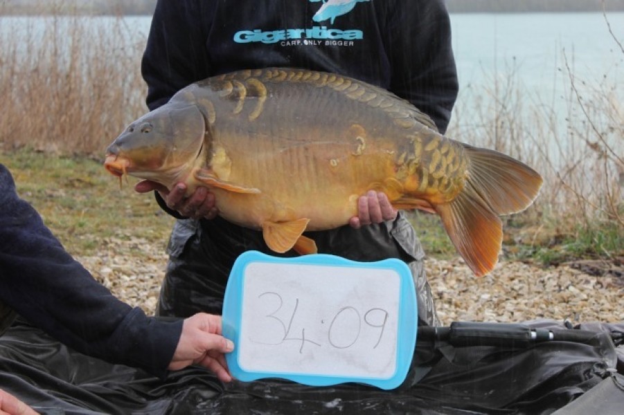 Fish 54 - Stocked at 34lb 9oz