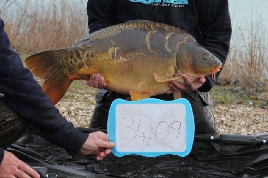 Fish 54 - Stocked at 34lb 9oz