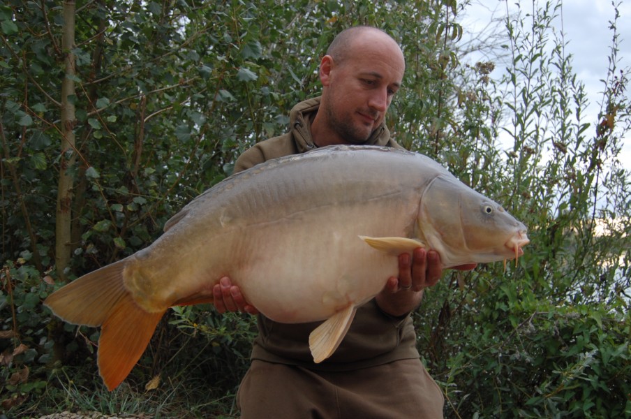 30lb 8oz Decoy August 2015