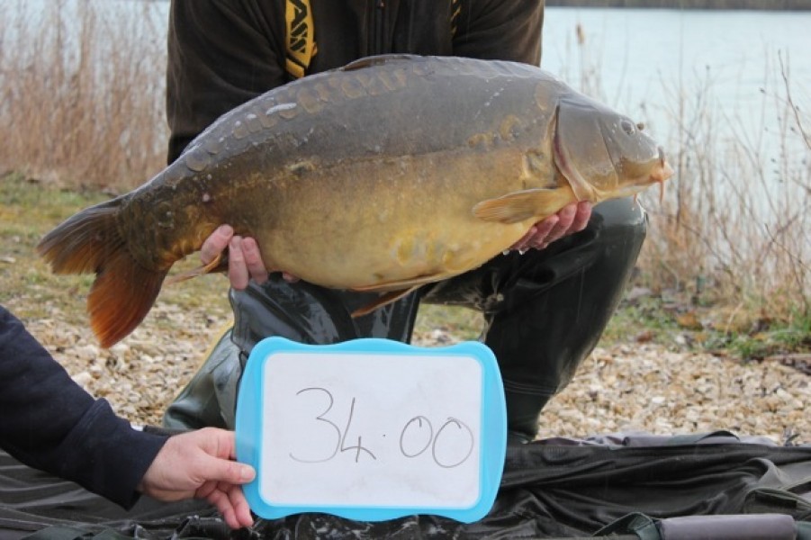 Fish 56 - Stocked at 34lb