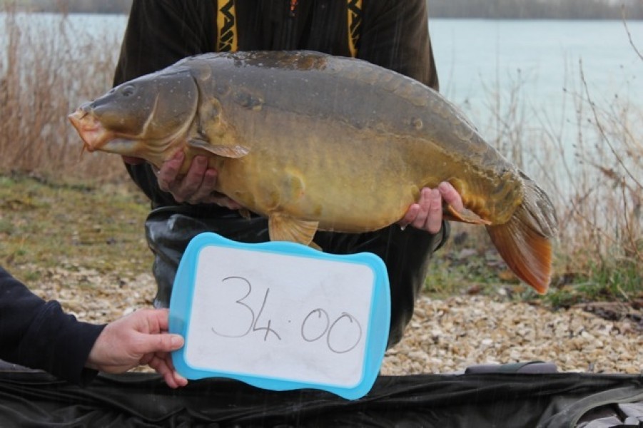 Fish 56 - Stocked at 34lb