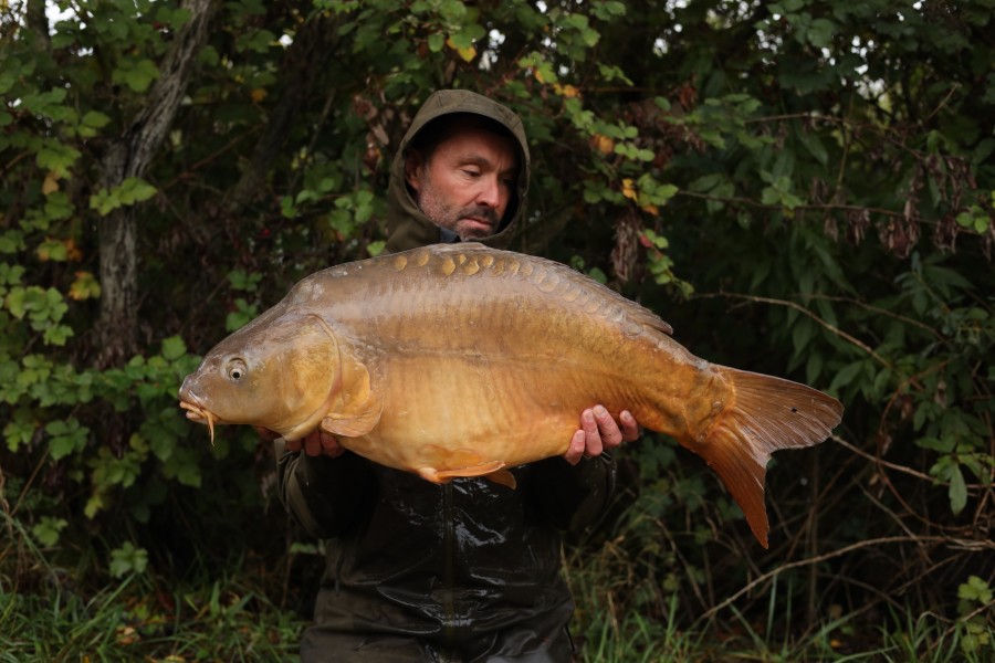 Alan Campbell - 31lb 14oz - Tea Party 1 - 20/09/2025